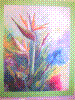 flower show2004 084.jpg